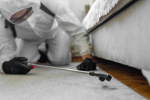 Professional Bed Bug Control technician working in Traill County County, ND